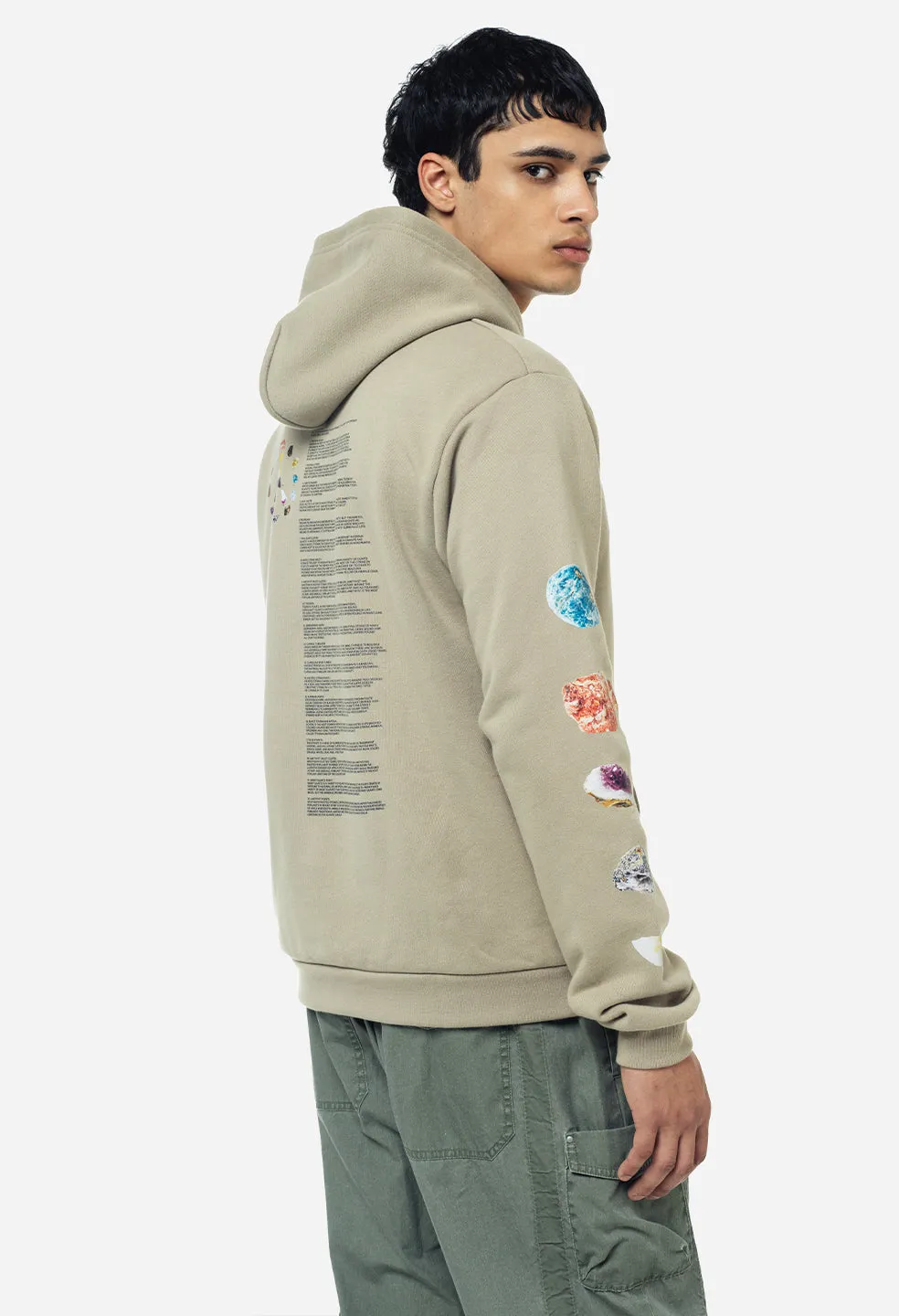 Gem Show Beach Hoodie / Shark